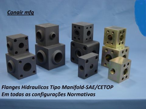 Flanges tipo Manifold